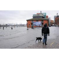 3561_0870 Ein Spaziergänger mit Hund am Rande des Hochwasser bei der Fischauktionshalle. | Hochwasser in Hamburg - Sturmflut.